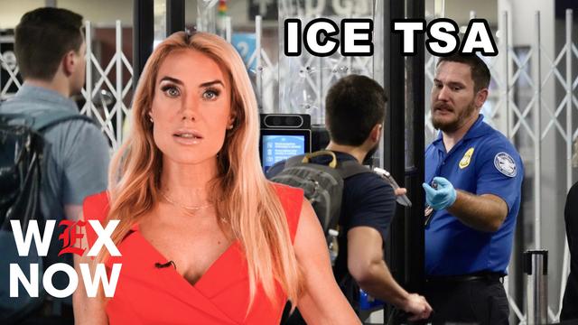 ICE backs TSA role, Britt pushes shutdown bill, Pahlavi urges Trump on Iran