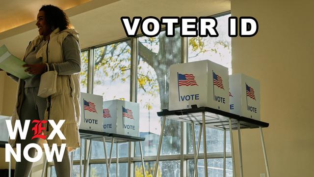 Democrats flip script on states’ rights to oppose national voter ID