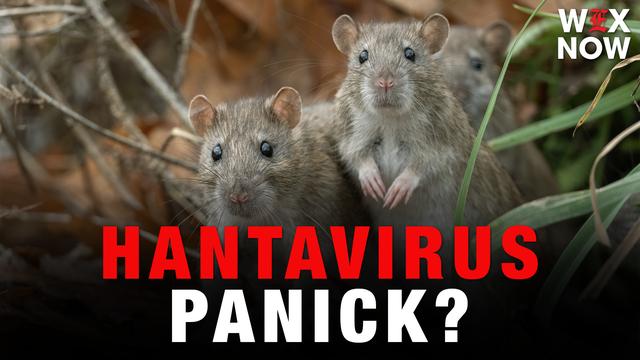 Yeas & Nays: We should all panic over a potential Hantavirus outbreak
