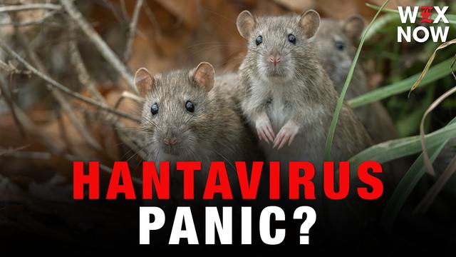 Yeas & Nays: We should all panic over a potential Hantavirus outbreak