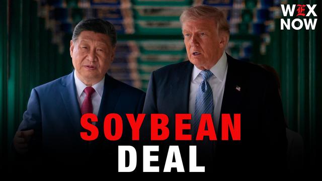 China to buy billions worth of US soybeans after Trump complaints