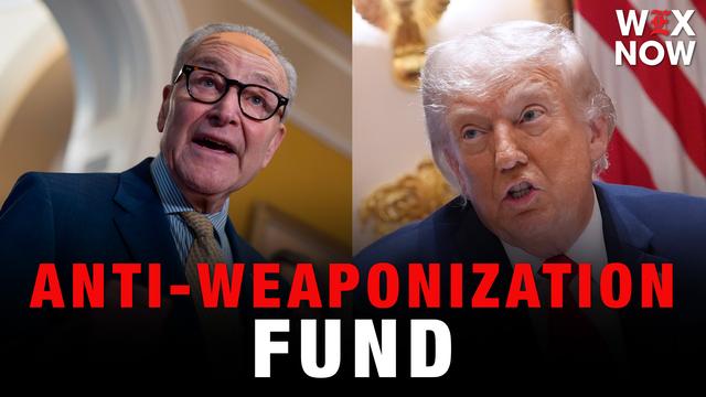 Schumer promises litany of actions to halt Trump’s anti-weaponization fund