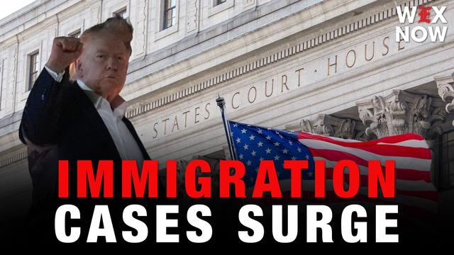 Immigrants filed tens of thousands of lawsuits in Trump’s first year