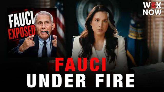 Gabbard accuses Fauci of steering spy agencies away from lab leak theory