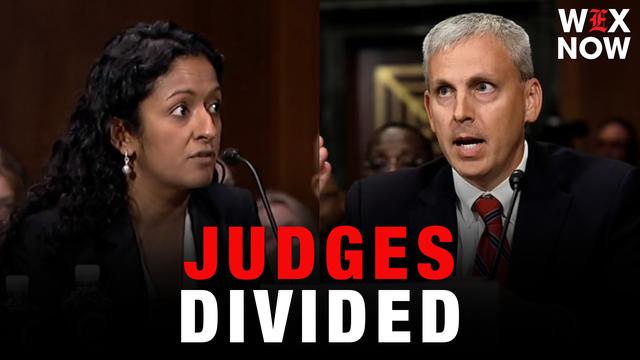 Federal judges issue warring rulings over DHS citizenship database