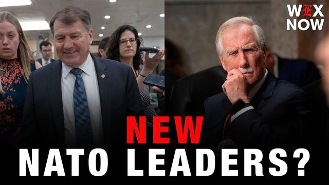 Senate’s NATO group leaders float Mike Rounds and Angus King as successors