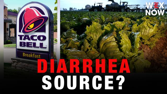 Taco Bell’s lettuce supplier linked to nationwide cyclosporiasis outbreak