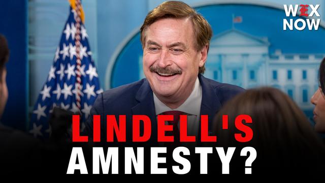Mike Lindell proposes six-month amnesty for illegal immigrants if elected