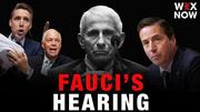 Top moments from Anthony Fauci's Senate hearing