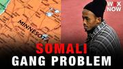 Minnesota Republicans urge DOJ to ‘stamp out’ state’s Somali gang problem