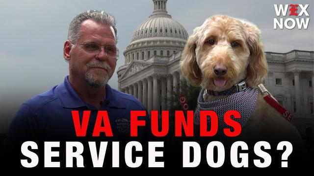 Should taxpayer dollars pay for veterans’ service dogs? Congress is deciding