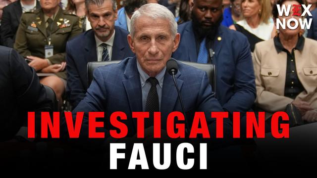 Louisiana joins Alabama and Florida in investigating Fauci