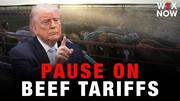 Trump defends pause on beef tariffs: Prices are ‘coming down very rapidly’