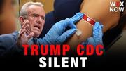 Medical societies recommend vaccination for flu season while Trump CDC is silent