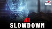 Ex-Trump adviser backs self-imposed AI slowdown, rejects ‘cartel’ framework