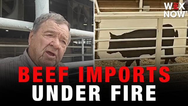 Ranchers are furious about diesel prices and beef imports