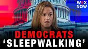 Democrats are 'sleepwalking' into midterm elections: Lisa Camooso Miller