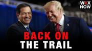 Marco Rubio called back to the campaign trail after Texas visit