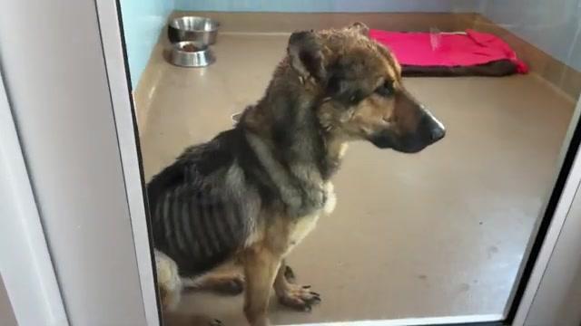 Watch her reaction when she’s told she’s a GOOD GIRL for the first time