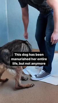 It’s been over a month since Macy came in to the shelter starved and neglected.