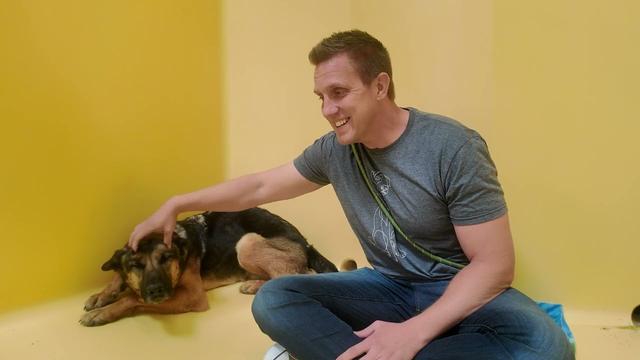 Sitting with a scared German Shepherd that's been at the shelter for over 365 days