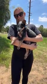 Update on Bean and what we have to do with his leg 