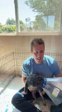 Bean had to have an emergency surgery 