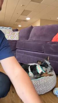 Live with Bean: BIG UPDATE 