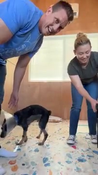 Important Bean Surgery Update (