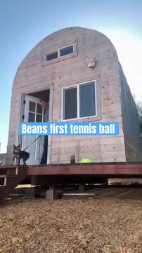 Watch Bean’s Reaction to his First 