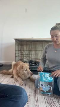 Bonnie: Name Decision and Vet Pupdate