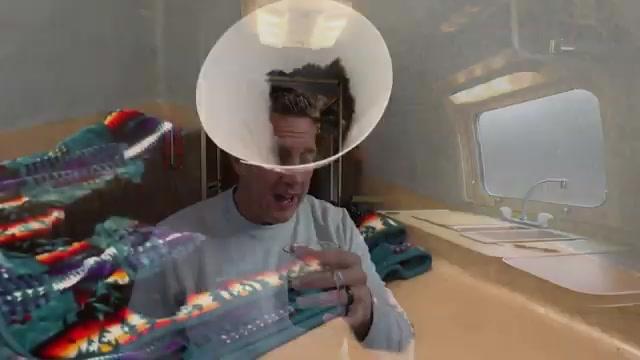 Here's What Happened to Valentina after I Took Her | Pupdates