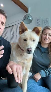 Are Pumpkin and Dixie Related? DNA Test Reveal - LIVE!