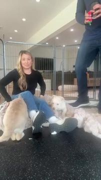 Help us name these Husky Sisters with Swimmers Syndrome ( LIVE 