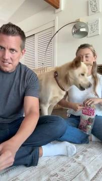 Here’s what’s Happening to Lilly ( LIVE)