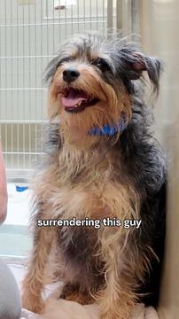 Can't Touch Him, Here's Why! Should his name stay Monster, or should it change to Sunny?