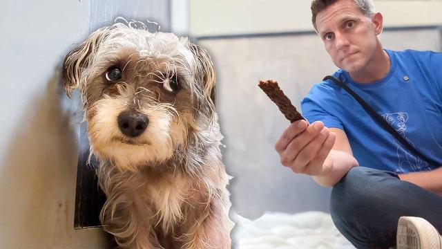 He Attacked - Now We Know Why!