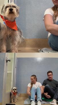 Deciding what's Next for this Little Guy that Can't Stop Shaking