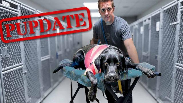 Olive’s Life is Changing Forever At The Farm!