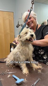 Wait Until You See His Glow Up ...