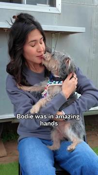Bodie Found a New Home- Click to purchase