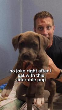 Left Alone on a Doorstep, This Puppy Found the Ultimate Hero