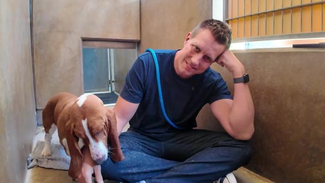 Too BROKEN To Be Loved? Here’s What’s Next for Shelter Basset Hound…