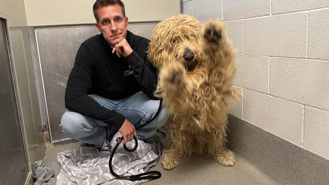 I Guessed This Shelter Dog's Name…Watch His Emotional Reaction