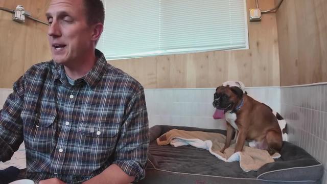 Trying to get my New Dogs to Take Their First Treat (LIVE)