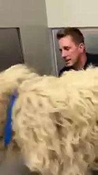 I Guessed This Shelter Dog’s Name…Watch His Emotional Reaction 