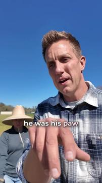 We finally found out why his PAW was HURTING Bobby the Basset Hound 