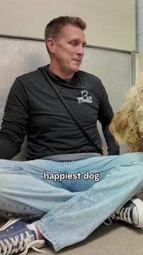 This Shelter Dog's Matting Was So Bad I Rushed Him to Emergency Grooming!