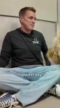 This Shelter Dog's Matting Was So Bad I Rushed Him to Grooming