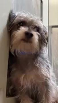 He Attacked - Here’s Where He is Today 